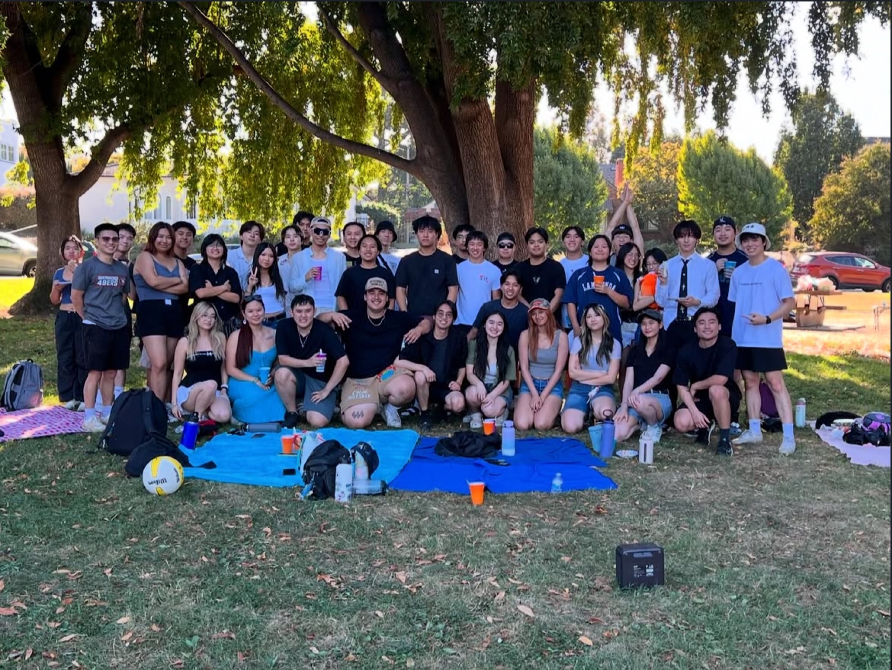 Park picnic